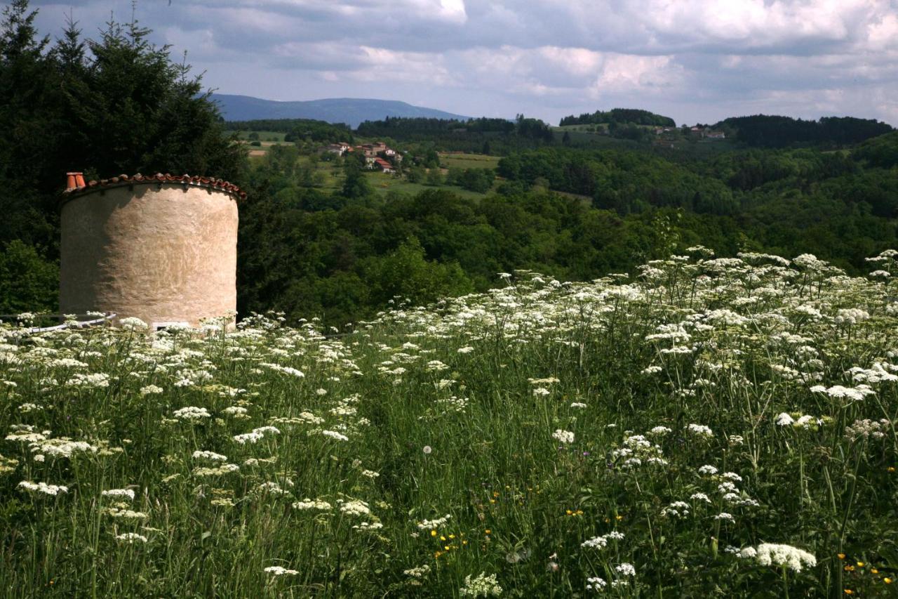 Bed and Breakfast La Paresse En Douce Tours-Sur-Meymont Экстерьер фото